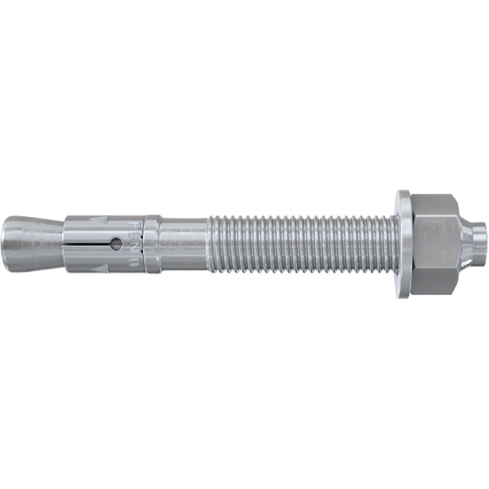 Fischer 50x Bolzenanker FBN II 10/10 K - 040947