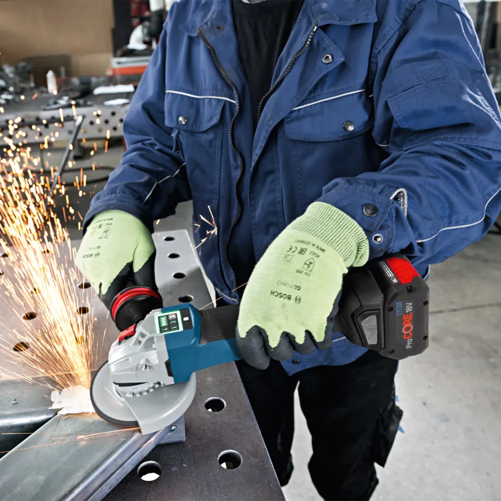 Bosch ProCORE18V 8,0 Ah Akku - 1600A016GK