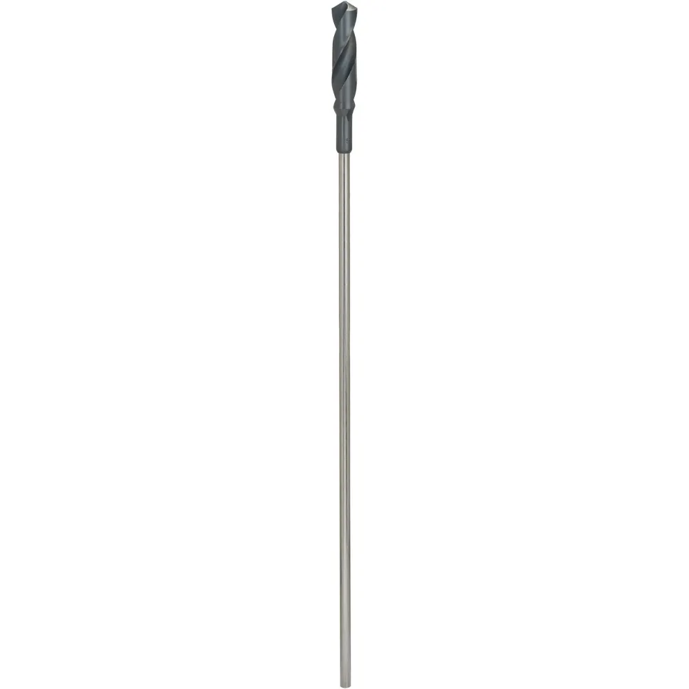 Bosch PRO Wood HSS Installationsbohrer 22 x 100 x 600 mm - 2608597174