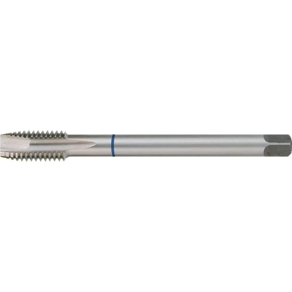 RUKO Maschinengewindebohrer HSS Form B PG 48 mm - 264048