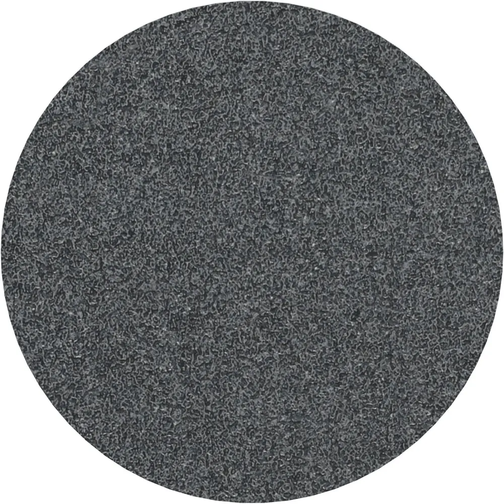 Bosch PRO F355 Schleifblatt 125 mm 60 - 2608606755